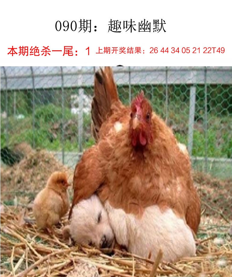 090期趣味幽默[图]