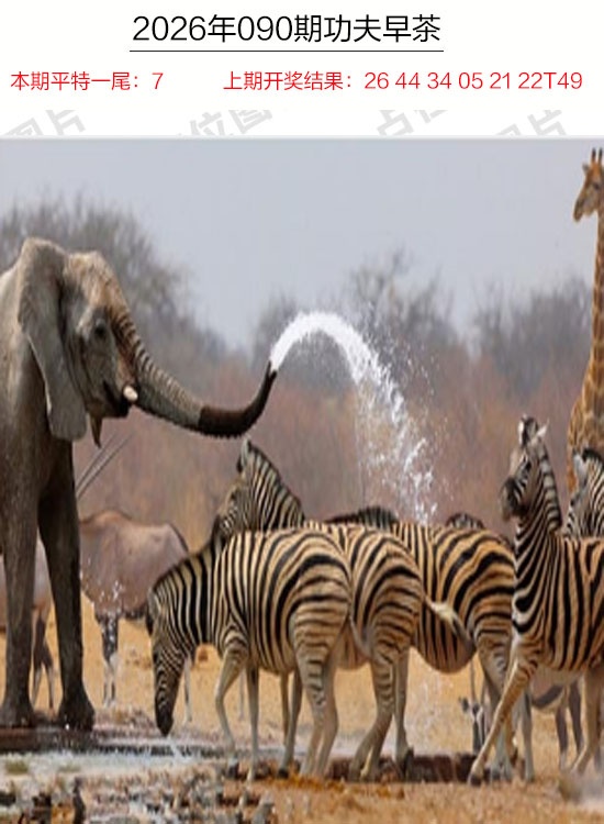 090期功夫早茶[图]